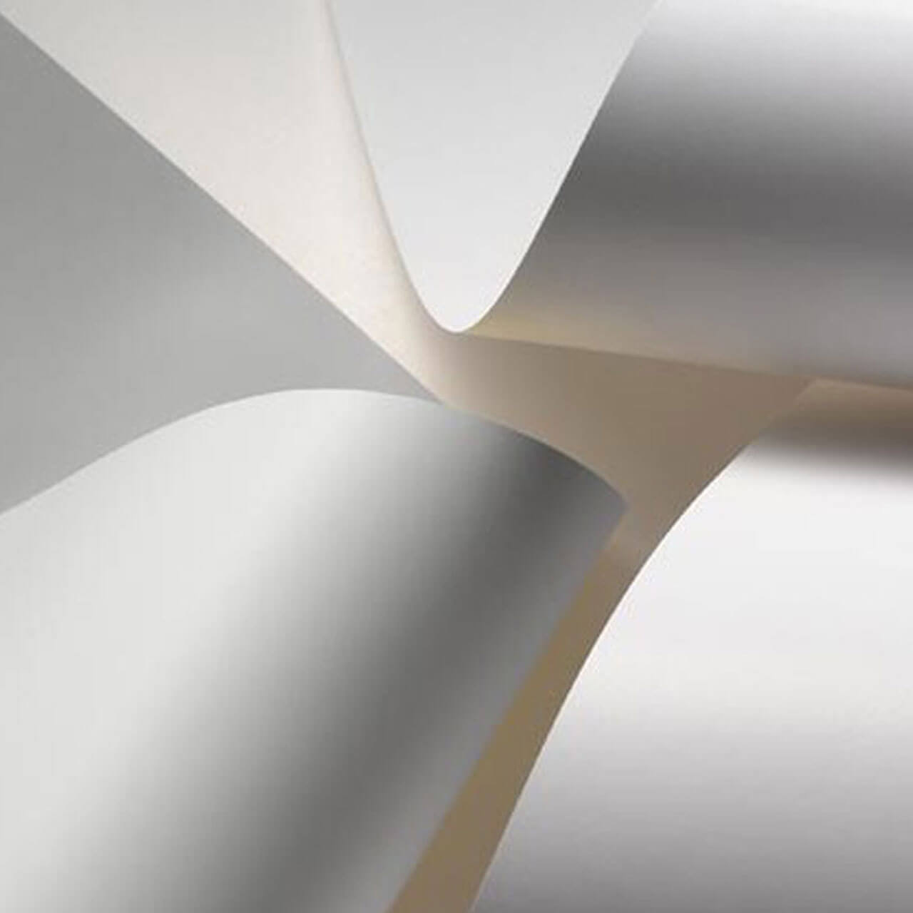 Synthetic Widespread for Outdoor Tag uses for Airport Tags