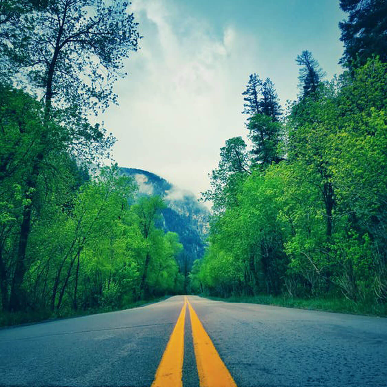 Save Our Mother Earth