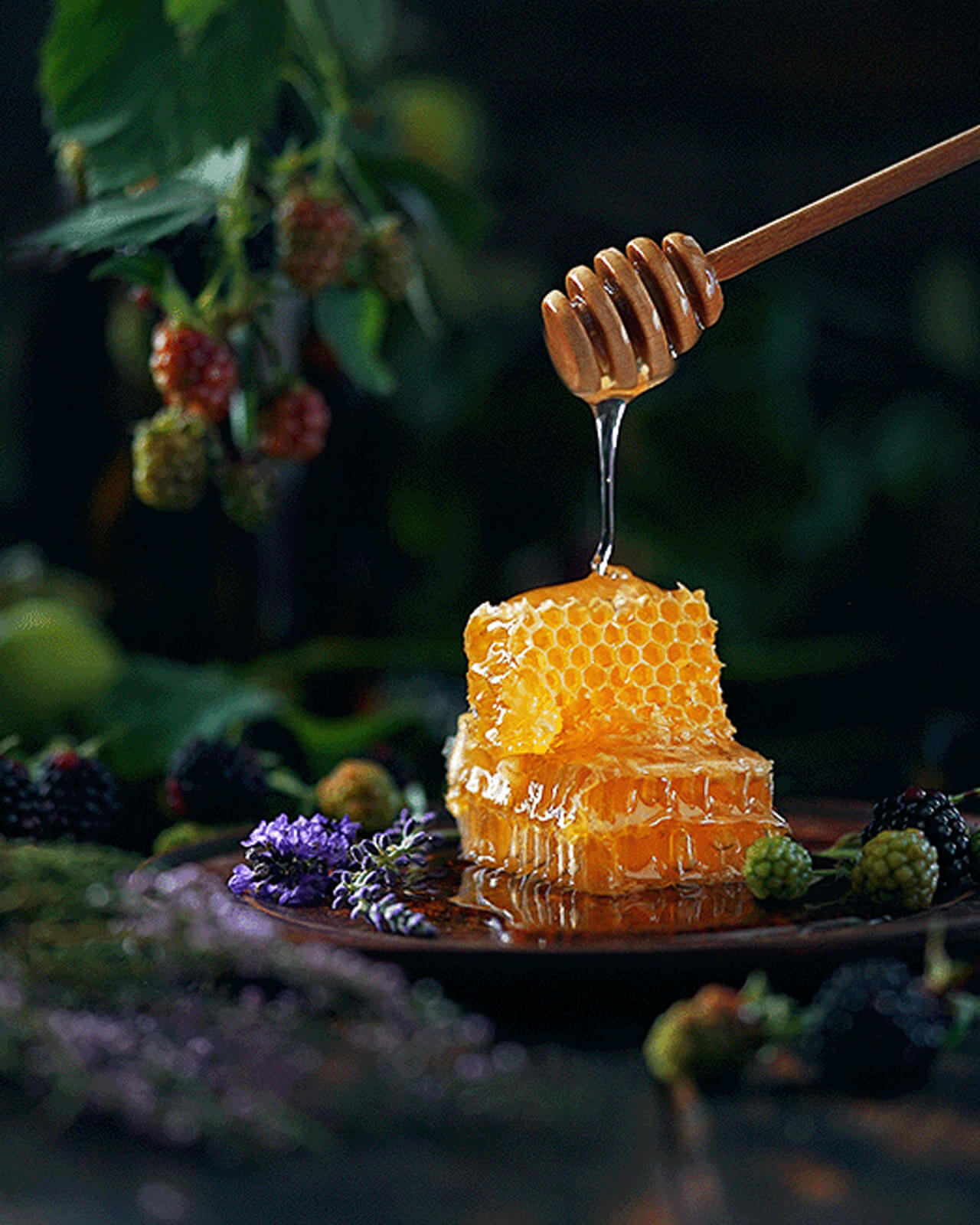 A luxurious Coloured, Uncoated Food Contact Paper range in 11 Eye-catching shades