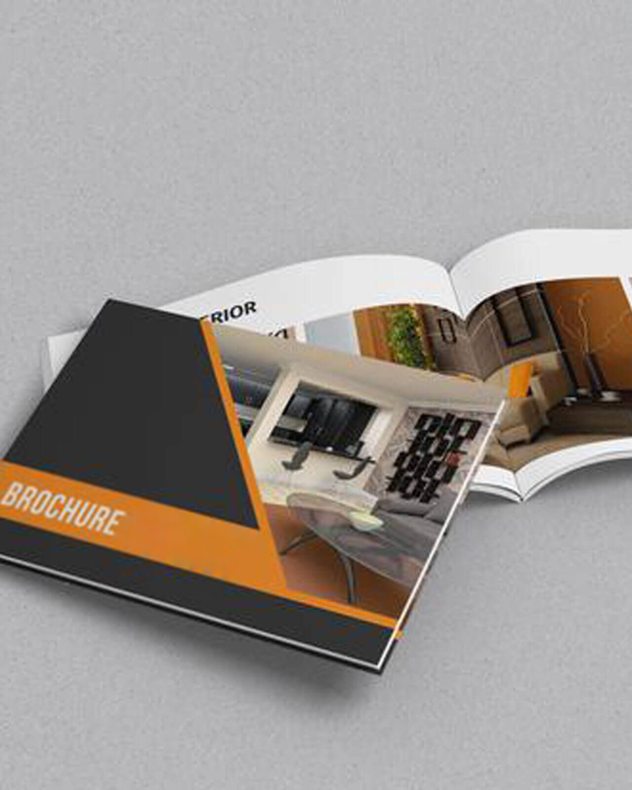 Brochures & Catalogues